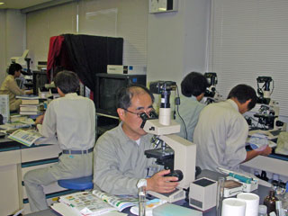 写真:課題分析研修(プランクトン)の様子1