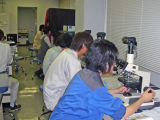 写真:課題分析研修(プランクトン)の様子2